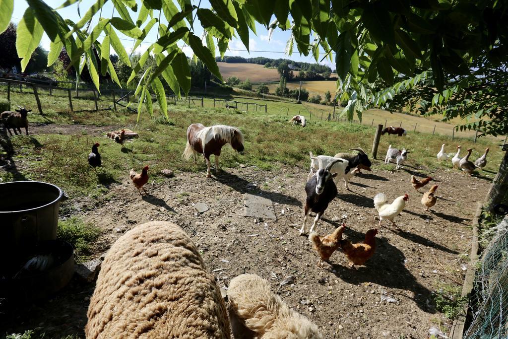 Вилла La Ferme Couderc Castelnaud-de-Gratecambe Экстерьер фото