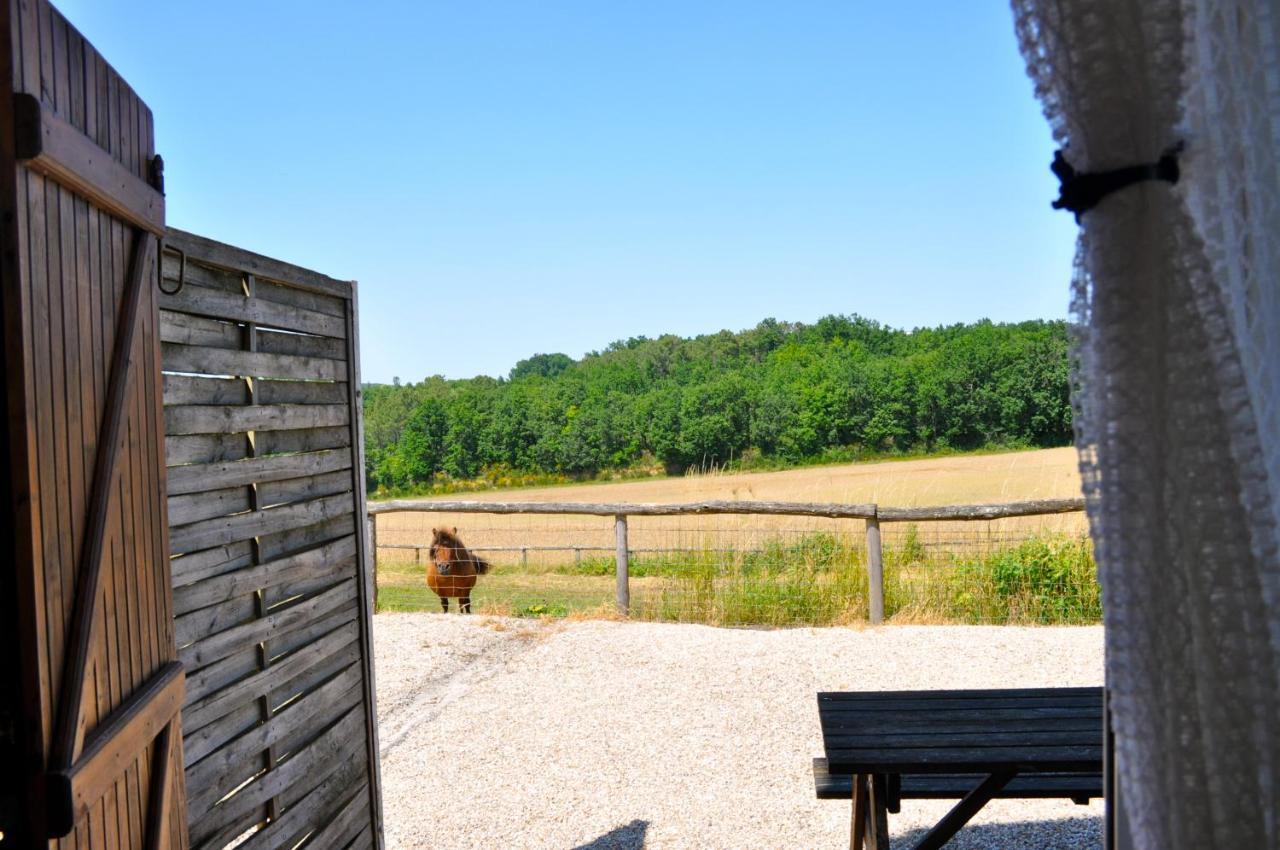 Вилла La Ferme Couderc Castelnaud-de-Gratecambe Экстерьер фото